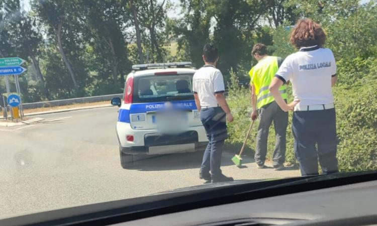 Perdita di un carico di grano tra Corridonia e Morrovalle: indagini in corso