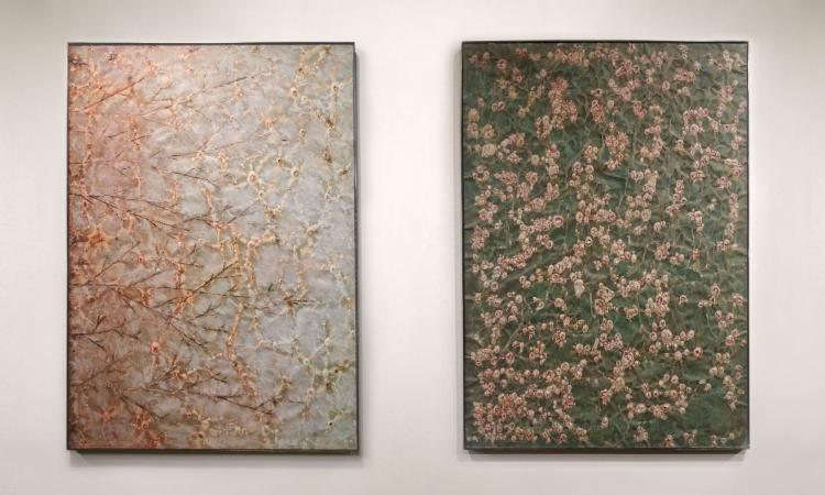 Arte biomimetica, Roberto Giacomucci svela '1+1=3' al Museo Civico di Recanati Arte biomimetica, Roberto Giacomucci svela '1+1=3' al Museo Civico di Recanati