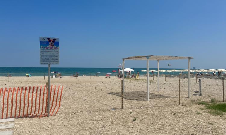 Civitanova, spiagge libere aperte ai cani: pronte le due nuove aree attrezzate