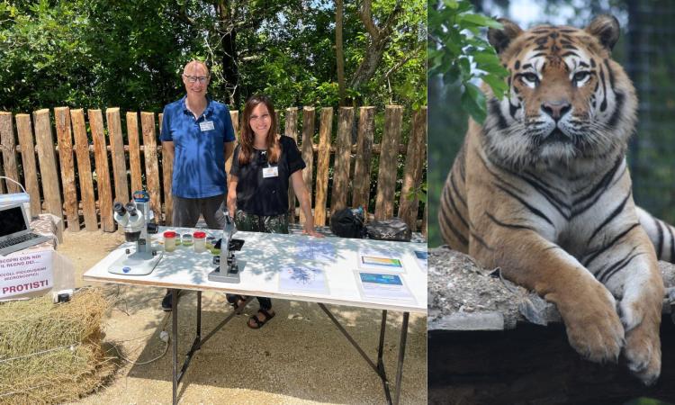 Unimc alla scoperta dei protisti al Parco Zoo Falconara. Anche le tigri protagoniste