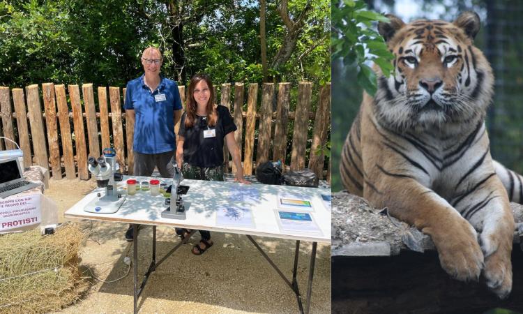 Unimc alla scoperta dei protisti al Parco Zoo Falconara. Anche le tigri protagoniste Unimc alla scoperta dei protisti al Parco Zoo Falconara. Anche le tigri protagoniste
