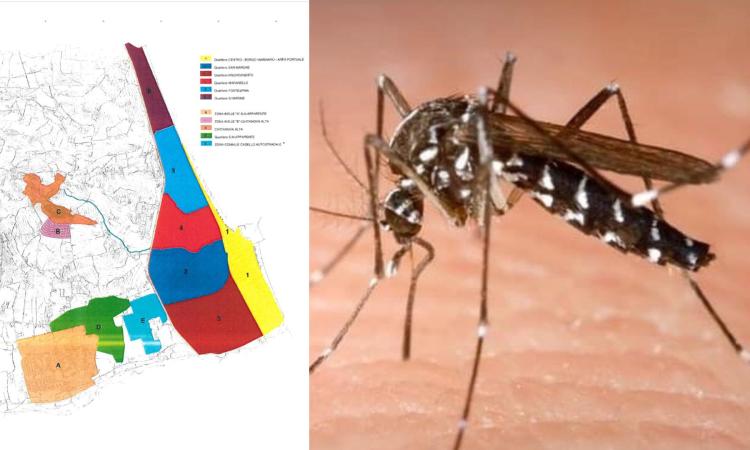 Civitanova, seconda disinfestazione dalle zanzare: il calendario diviso zona per zona