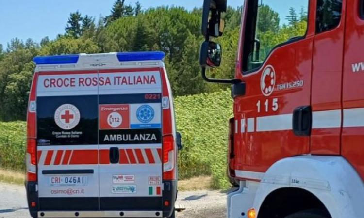 Recanati, sbanda con il furgone e finisce contro una pianta: addetto alle spedizioni soccorso in ambulanza