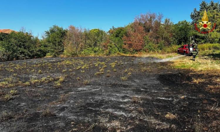 Vasto incendio in un campo, le fiamme lambiscono le abitazioni. Pronto intervento dei vigili del fuoco