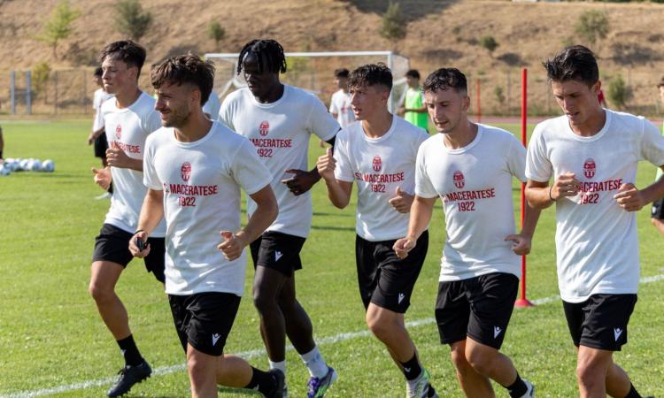 Maceratese, impressioni positive dai primi giorni di lavoro "Squadra allestita in maniera condivisa" (VIDEO) Maceratese, impressioni positive dai primi giorni di lavoro "Squadra allestita in maniera condivisa" (VIDEO)