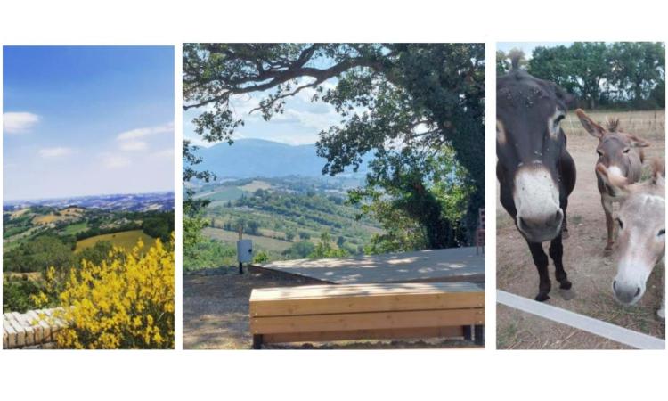 Prosegue la quinta edizione del 'Festival dei Monti Azzurri': arte, cammini, concerti e molto altro nei Borghi dei Sibillini Prosegue la quinta edizione del 'Festival dei Monti Azzurri': arte, cammini, concerti e molto altro nei Borghi dei Sibillini