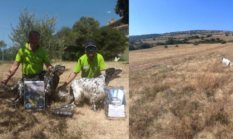 Trofeo Montagne Maceratesi 2024, vince Luciano Gabrielli con la sua "Fiona": oltre 160 i cani in gara Trofeo Montagne Maceratesi 2024, vince Luciano Gabrielli con la sua "Fiona": oltre 160 i cani in gara