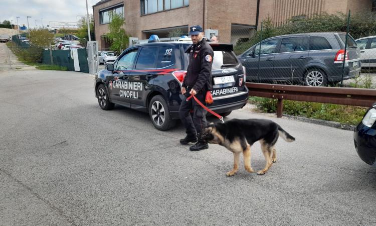 Matelica, sotto effetto di droghe litiga e si scaglia contro i genitori: denunciato 30enne