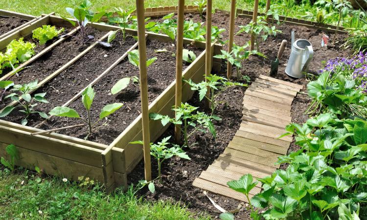 Vietato sprecare l'acqua, anche a Sarnano arriva l’ordinanza. Va centellinata per orti e giardini Vietato sprecare l'acqua, anche a Sarnano arriva l’ordinanza. Va centellinata per orti e giardini
