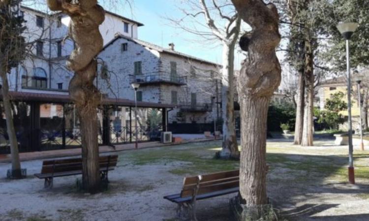 San Severino, torna la tradizionale Festa dell'Estate al circolo di via XX Settembre: il programma San Severino, torna la tradizionale Festa dell'Estate al circolo di via XX Settembre: il programma