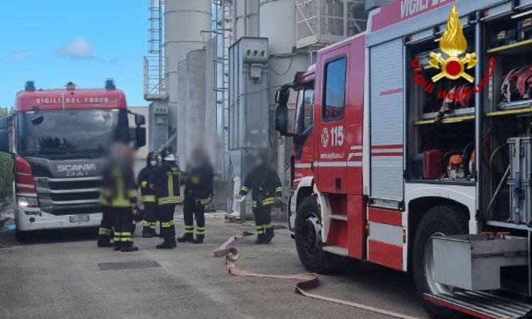 Civitanova, scoppia incendio in un'azienda di prodotti chimici: pronto intervento dei vigili del fuoco Civitanova, scoppia incendio in un'azienda di prodotti chimici: pronto intervento dei vigili del fuoco