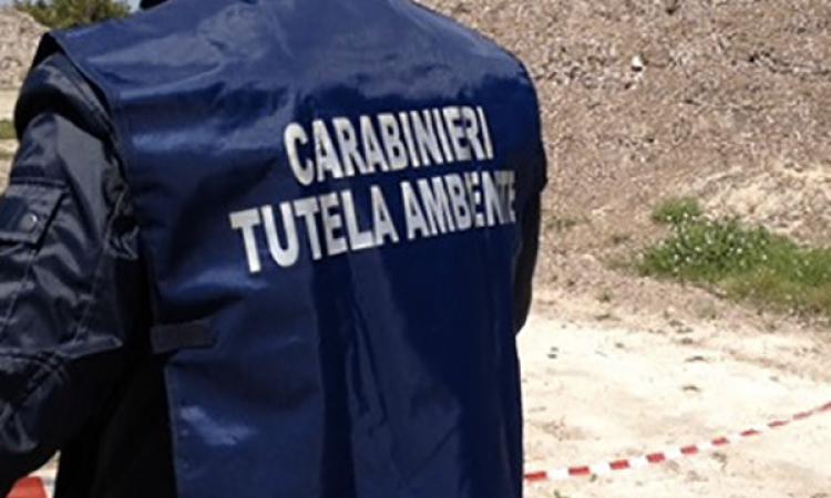 Rifiuti speciali stoccati illecitamente: denunciato imprenditore. Sequestrati beni per 270mila euro