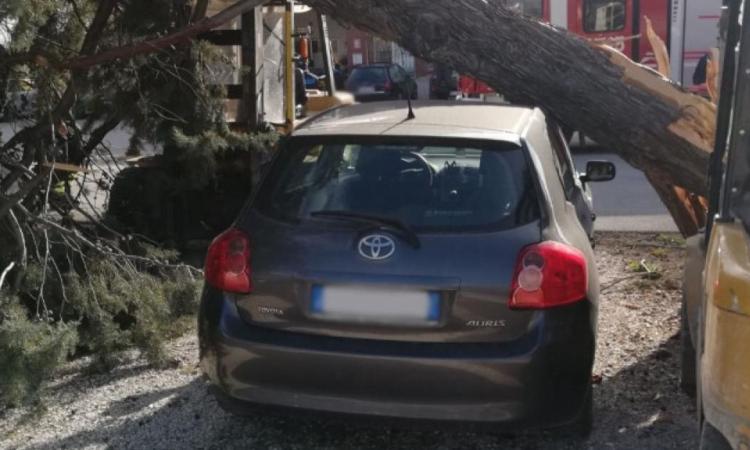 Danni causati dai temporali: responsabilità del Comune per il risarcimento danni Danni causati dai temporali: responsabilità del Comune per il risarcimento danni