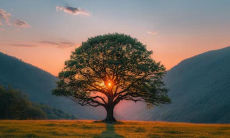Gli Accordi stipulati con la vita Gli Accordi stipulati con la vita