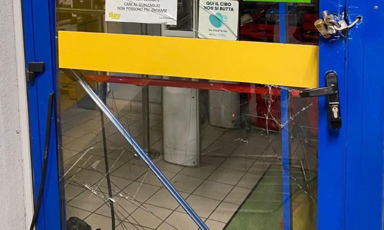 "Continui furti e nessuno fa nulla, sono esasperato": lo sfogo del titolare del supermercato "Tigre" "Continui furti e nessuno fa nulla, sono esasperato": lo sfogo del titolare del supermercato "Tigre"