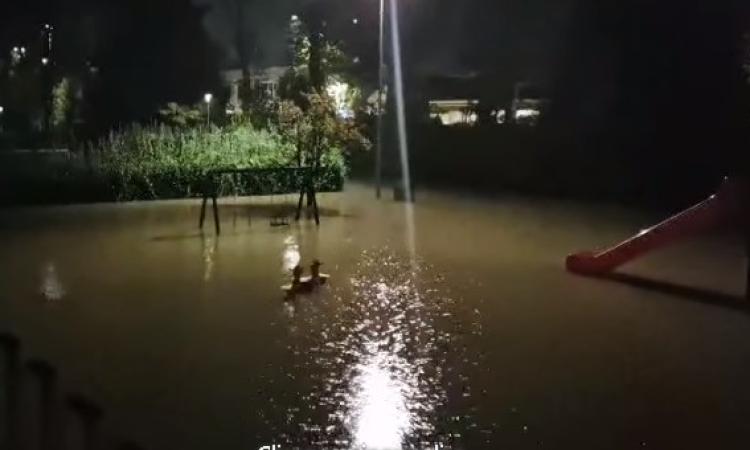 Maltempo, frane e smottamenti durante la notte: a Civitanova crollato pino secolare Maltempo, frane e smottamenti durante la notte: a Civitanova crollato pino secolare
