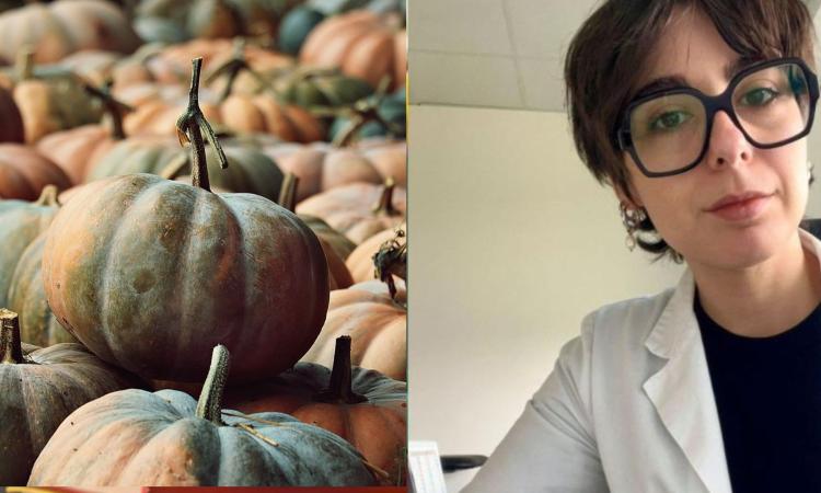 Dalla zucca allo yogurt, i cibi che rafforzano il nostro sistema immunitario: ecco quali sono Dalla zucca allo yogurt, i cibi che rafforzano il nostro sistema immunitario: ecco quali sono
