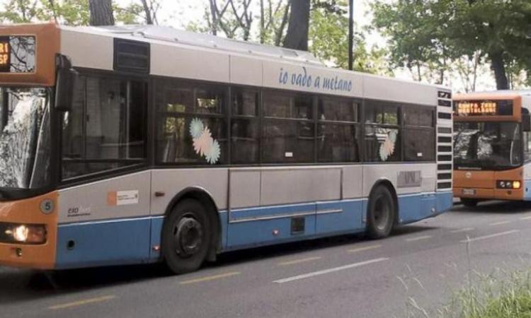 Macerata, nel periodo natalizio bus gratuiti: ecco le date Macerata, nel periodo natalizio bus gratuiti: ecco le date