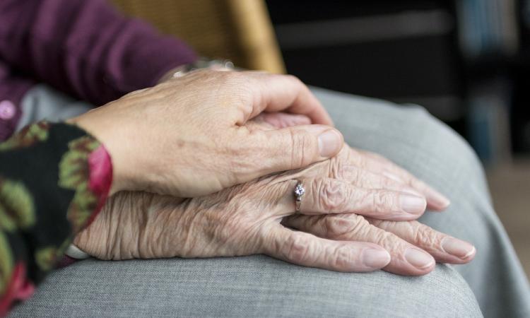Civitanova, Festa dei Nonni a Villa Letizia: la partecipazione è gratuita Civitanova, Festa dei Nonni a Villa Letizia: la partecipazione è gratuita