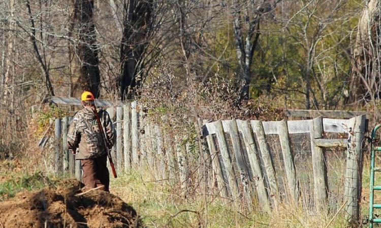 Sequestrati nel Maceratese sei richiami acustici per quaglie: "Condanniamo atti di bracconaggio" Sequestrati nel Maceratese sei richiami acustici per quaglie: "Condanniamo atti di bracconaggio"