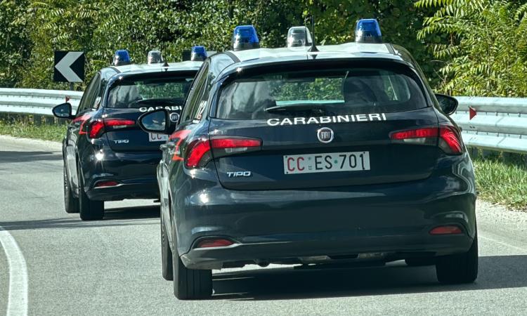 Corridonia, prende a bastonate il rivale: denunciato. A Macerata in due dicono addio alla patente Corridonia, prende a bastonate il rivale: denunciato. A Macerata in due dicono addio alla patente