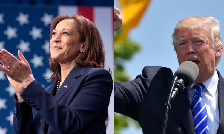"Elezioni americane: Trump o Harris? Nulla cambia, a vincere è sempre il blocco imperialistico dominante" "Elezioni americane: Trump o Harris? Nulla cambia, a vincere è sempre il blocco imperialistico dominante"