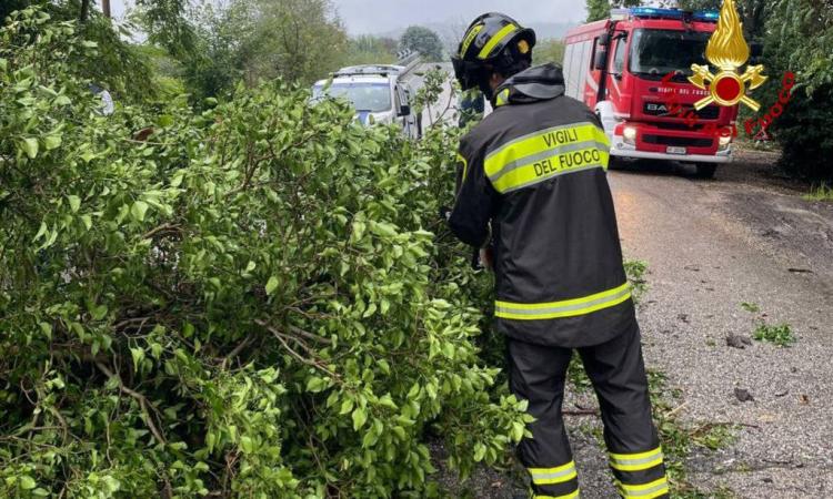 Maltempo Marche, allagamenti diffusi nell'Anconetano: chiuso tratto dell'A14 Maltempo Marche, allagamenti diffusi nell'Anconetano: chiuso tratto dell'A14