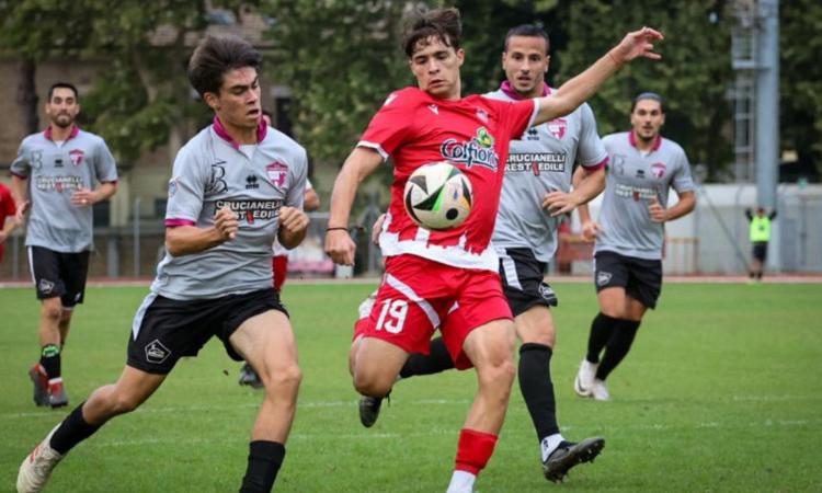 Tolentino-Maceratese, le pagelle: Ruani il migliore, Tizi si adatta anche da terzino (FOTOGALLERY & VIDEO) Tolentino-Maceratese, le pagelle: Ruani il migliore, Tizi si adatta anche da terzino (FOTOGALLERY & VIDEO)