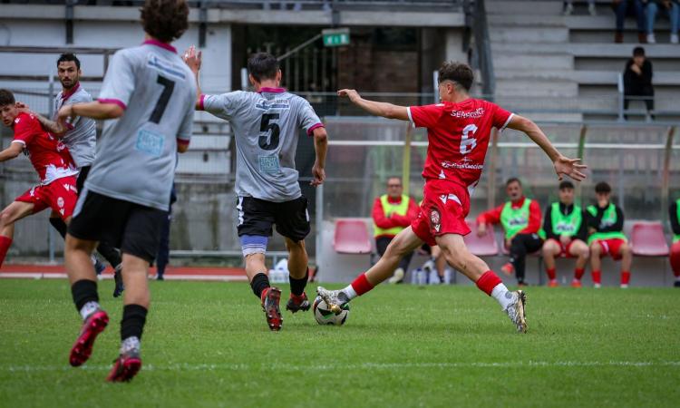 Tolentino-Maceratese, i cremisi chiedono la vittoria a tavolino: la sentenza tra una settimana Tolentino-Maceratese, i cremisi chiedono la vittoria a tavolino: la sentenza tra una settimana