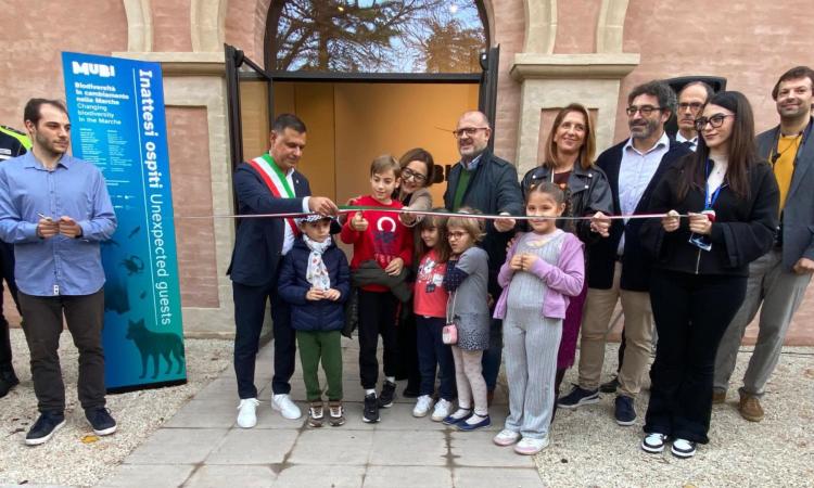 Macerata, il nuovo museo ai Giardini Diaz è realtà: "Struttura scientifica preziosissima" Macerata, il nuovo museo ai Giardini Diaz è realtà: "Struttura scientifica preziosissima"