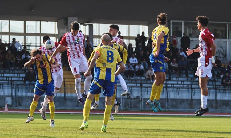 Eccellenza, la Maceratese si fa rimontare e non riesce nell'allungo: con l'Urbino termina 2-2 (FOTO)