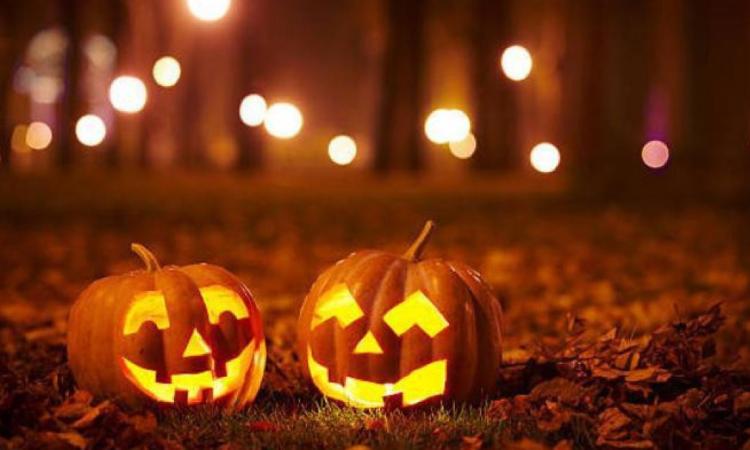 Civitanova Alta si veste a festa per Halloween: dal videomapping agli spettacoli "terrificanti" Civitanova Alta si veste a festa per Halloween: dal videomapping agli spettacoli "terrificanti"