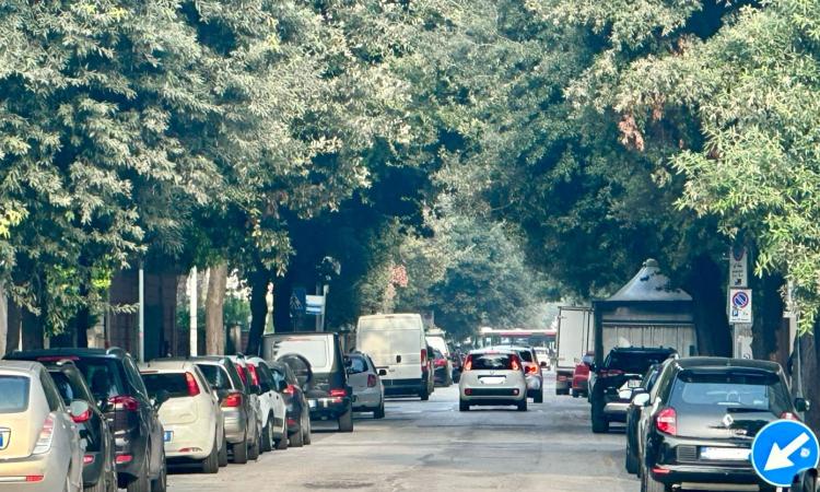 Civitanova, al via i lavori in viale Vittorio Veneto: come cambia la viabilità