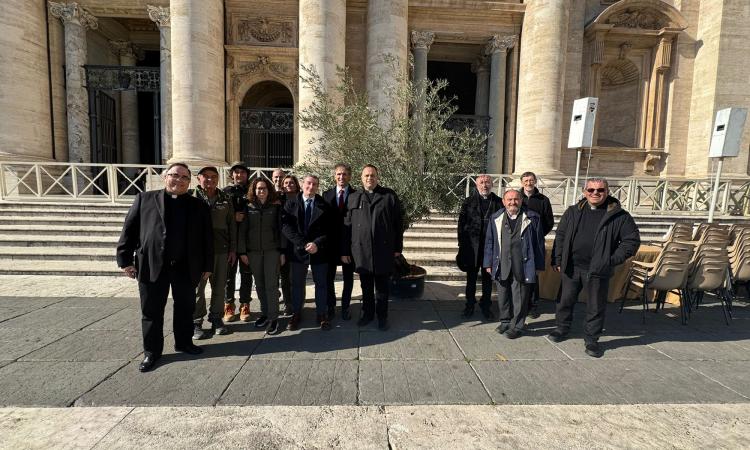 Un olivo benedetto da Papa Francesco all’Abbadia di Fiastra Un olivo benedetto da Papa Francesco all’Abbadia di Fiastra
