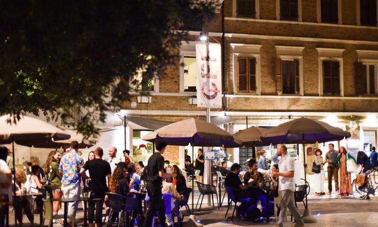 Civitanova, l'albero di piazza Conchiglia si illumina di viola