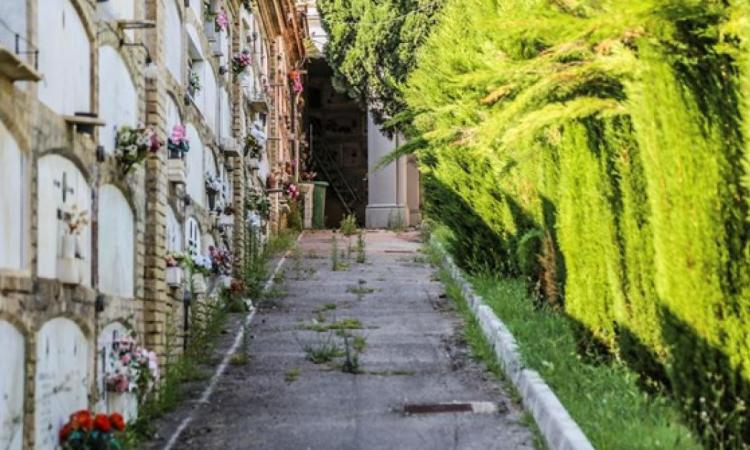 Allerta meteo arancione, a Macerata chiusi parchi pubblici, cimitero e impianti sportivi anche domani Allerta meteo arancione, a Macerata chiusi parchi pubblici, cimitero e impianti sportivi anche domani