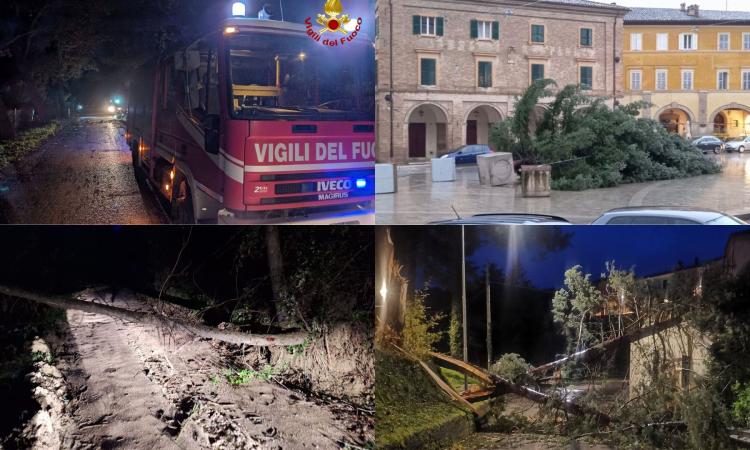 Il vento fa danni: cade l'Albero di Natale a San Severino, strade chiuse a Urbisaglia e Camporotondo Il vento fa danni: cade l'Albero di Natale a San Severino, strade chiuse a Urbisaglia e Camporotondo
