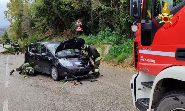 Il vento piega un albero, auto in corsa colpita da grosso ramo: choc per la giovane conducente