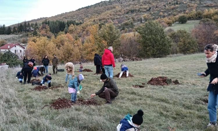 Fiastra, gli alunni piantano 40 alberi: grazie a un'app potranno monitorarne la crescita