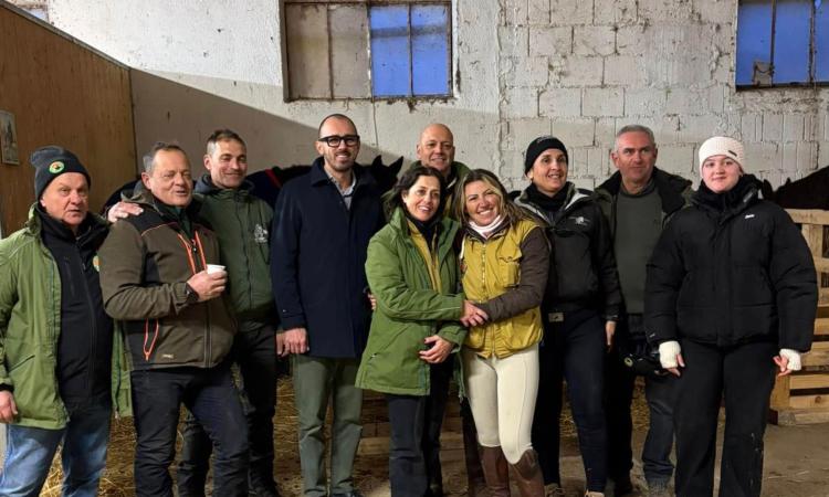 Matelica, da tutta Italia per farsi un giro a cavallo nel territorio matelicese Matelica, da tutta Italia per farsi un giro a cavallo nel territorio matelicese