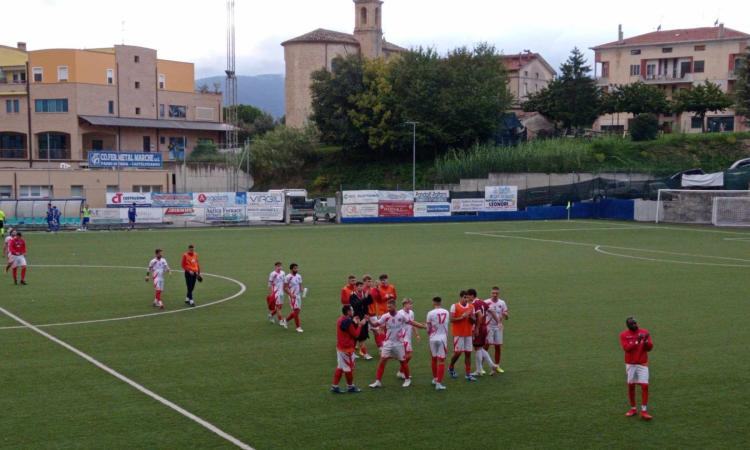 Fuori tutto in casa Aurora Treia, 5 giocatori ai saluti: altra rivoluzione di mercato in vista?