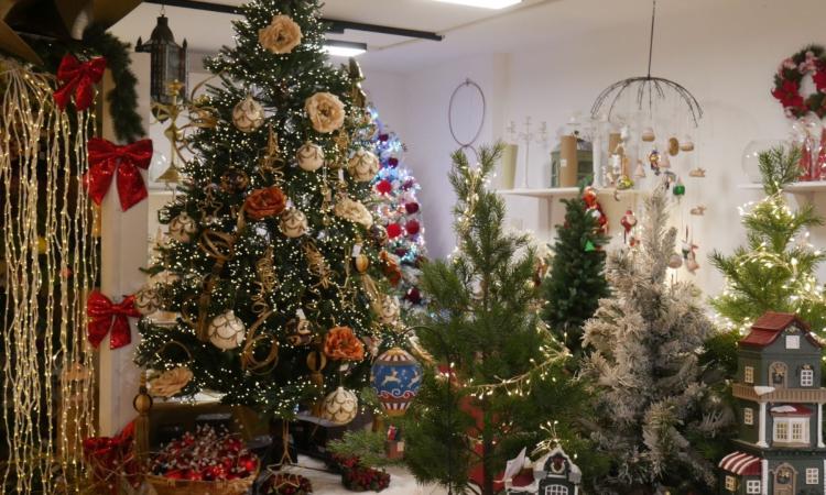 È tempo di decorare l'Albero: per il Natale 2024 dominano le luci, ecco gli addobbi preferiti dai maceratesi È tempo di decorare l'Albero: per il Natale 2024 dominano le luci, ecco gli addobbi preferiti dai maceratesi