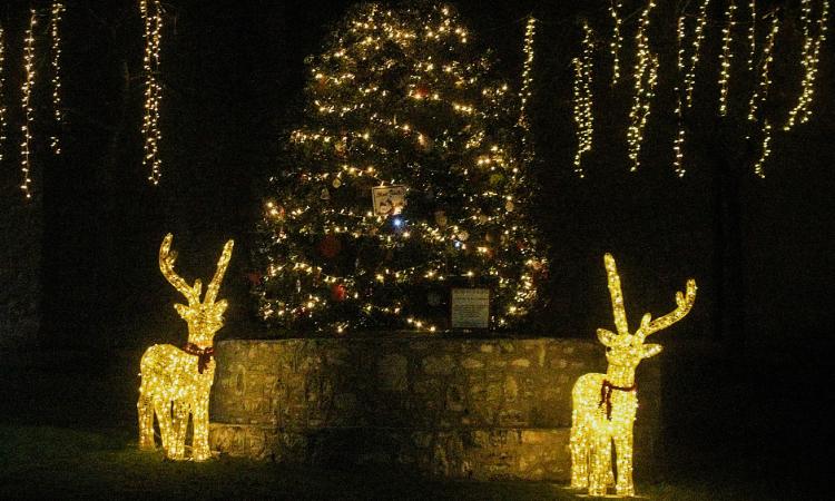 Fiastra accende il Natale: inaugurato l'Albero creato dalla comunità