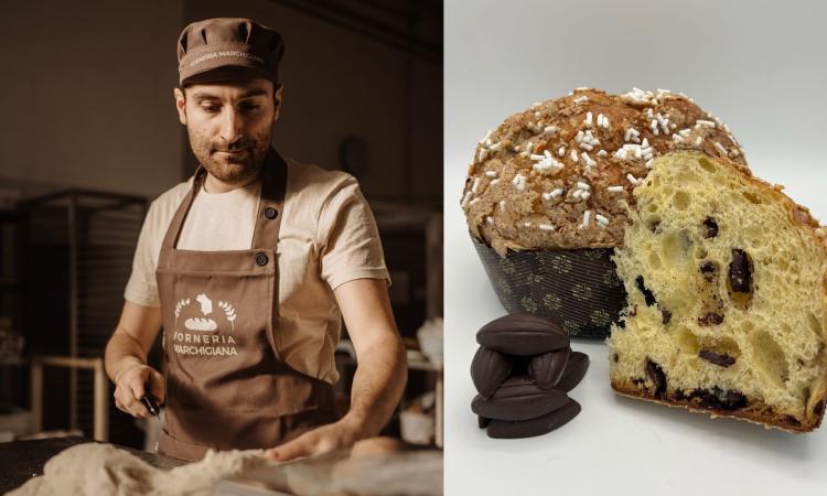 Morrovalle - "Panettone artigianale? No, grazie: preferiamo il panettone naturale marchigiano" Morrovalle - "Panettone artigianale? No, grazie: preferiamo il panettone naturale marchigiano"