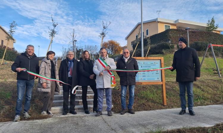 Macerata, inaugurato bosco urbano in via della Costituzione: piantumati 20 alberi