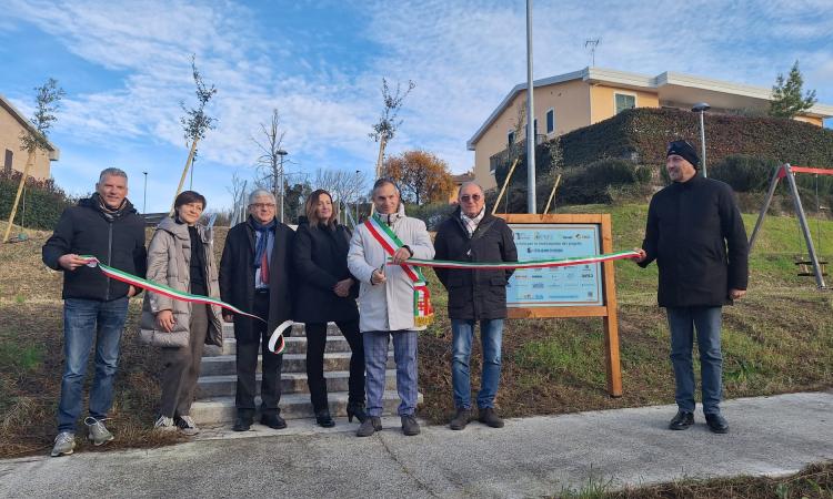 Macerata, inaugurato bosco urbano in via della Costituzione: piantumati 20 alberi Macerata, inaugurato bosco urbano in via della Costituzione: piantumati 20 alberi