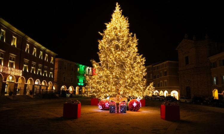 L'Albero di Natale di San Severino è ancora il più bello delle Marche