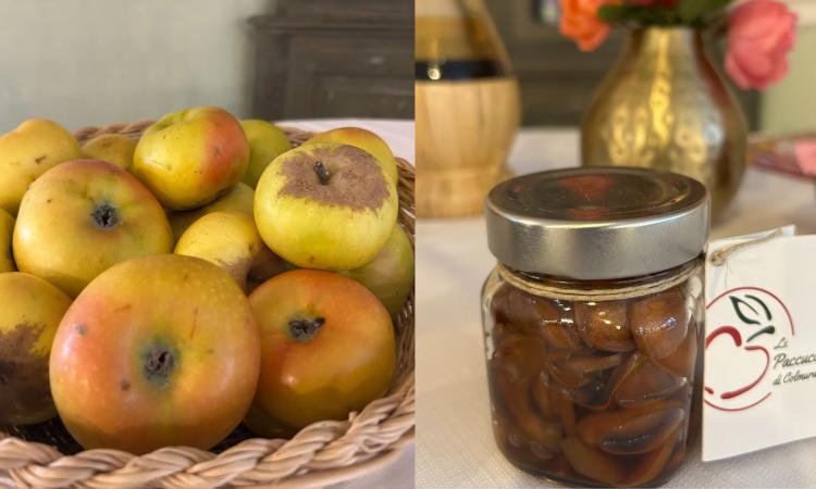 Colmurano, la delegazione maceratese dell'Accademia della Cucina omaggia le 'Paccucce': "Un patrimonio culturale da tutelare" Colmurano, la delegazione maceratese dell'Accademia della Cucina omaggia le 'Paccucce': "Un patrimonio culturale da tutelare"