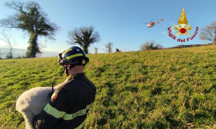 Cercatore di tartufi si perde nel bosco con il suo cane: soccorso con l'elicottero (FOTO)