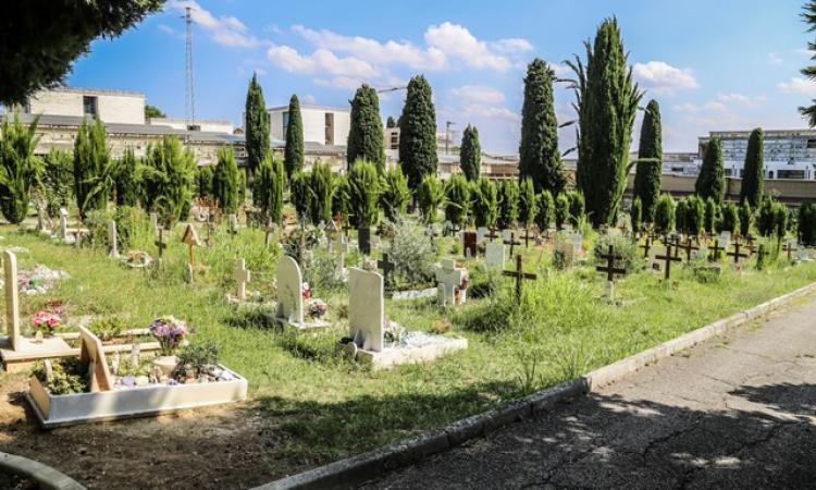 Macerata, forti raffiche di vento in città: chiusi parchi e cimitero comunale